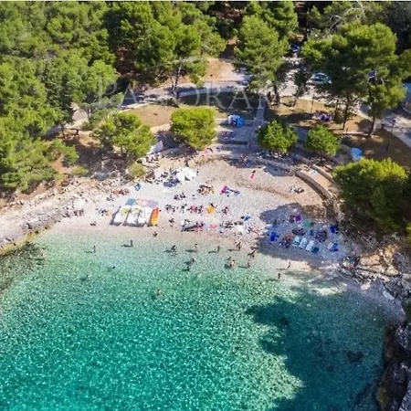 Apartament Leda *